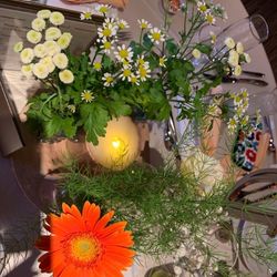 FORTUNE IN THE TERRACEの写真17枚目