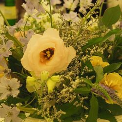 ル・グラン・ミラージュ ONE & ONLYの写真11枚目