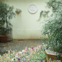 リストランテASOの写真10枚目