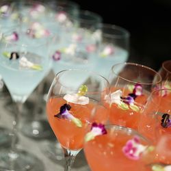 グランド ハイアット 東京の写真7枚目