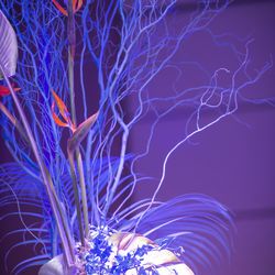 グランド ハイアット 東京の写真3枚目