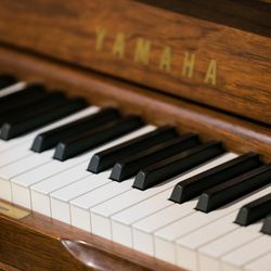 ザ・カワブンナゴヤの写真15枚目