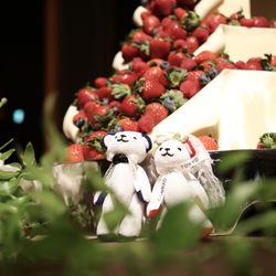 コンラッド東京の写真6枚目