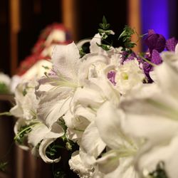 コンラッド東京の写真16枚目