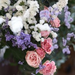 ララシャンス 博多の森の写真36枚目