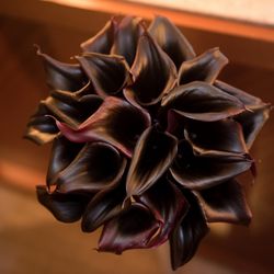 パーク ハイアット 東京の写真27枚目