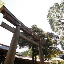 明治神宮・明治記念館の写真35枚目