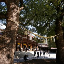 明治神宮・明治記念館の写真14枚目