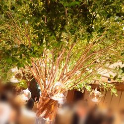 グランド ハイアット 東京の写真27枚目