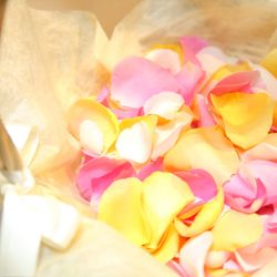 グランド ハイアット 東京の写真16枚目