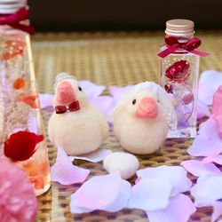 ラグナヴェール 青山の写真8枚目