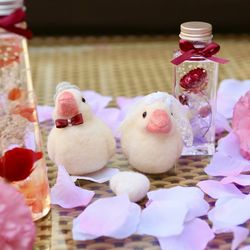 ラグナヴェール 青山の写真16枚目