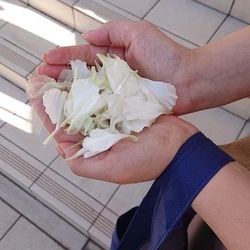 アートグレイス ウエディングコースト 東京ベイの写真25枚目