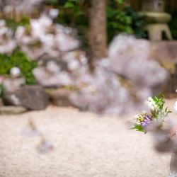 八芳園の写真5枚目