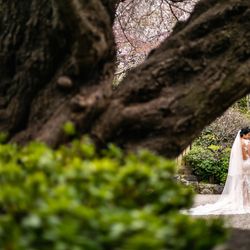 八芳園の写真34枚目