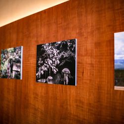 八芳園の写真5枚目