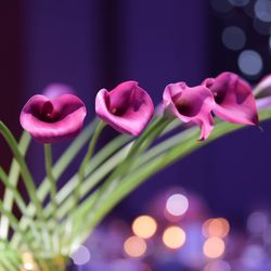 グランド ハイアット 東京の写真19枚目