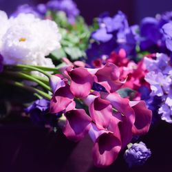 グランド ハイアット 東京の写真31枚目