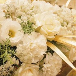 ハートコート横浜の写真29枚目