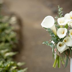 ザ・ガーデンオリエンタル大阪の写真2枚目