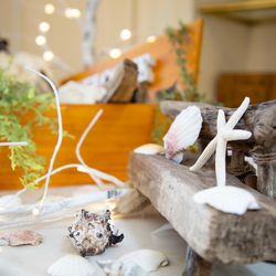 シーサイド平川MASARUの写真3枚目