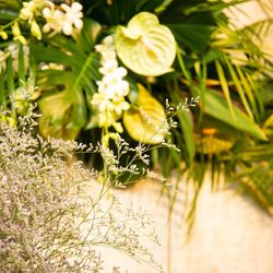 シーサイド平川MASARUの写真27枚目