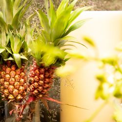 シーサイド平川MASARUの写真7枚目