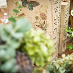 ラニレア チャペルの写真14枚目