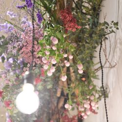 TRUNK HOTELの写真15枚目