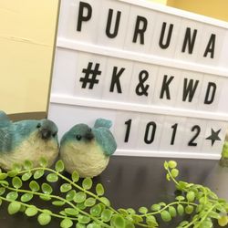 プルーナ マリエールの写真17枚目