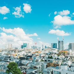 リストランテ ベニーレ ベニーレの写真13枚目