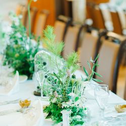 リストランテ ベニーレ ベニーレの写真26枚目