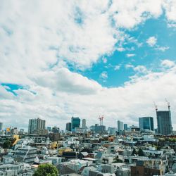 リストランテ ベニーレ ベニーレの写真22枚目