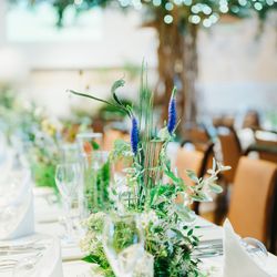 リストランテ ベニーレ ベニーレの写真7枚目