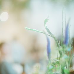 リストランテ ベニーレ ベニーレの写真21枚目