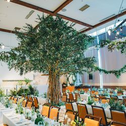 リストランテ ベニーレ ベニーレの写真31枚目