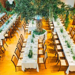 リストランテ ベニーレ ベニーレの写真19枚目