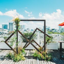 リストランテ ベニーレ ベニーレの写真18枚目