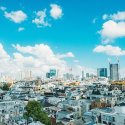 リストランテ ベニーレ ベニーレの写真9枚目