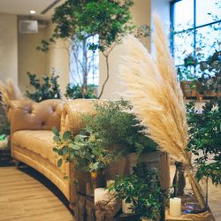 ラシック アンジュールの写真24枚目