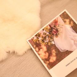 茅ヶ崎迎賓館の写真34枚目