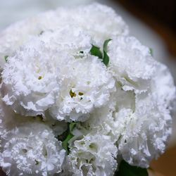 グランド ハイアット 東京の写真4枚目