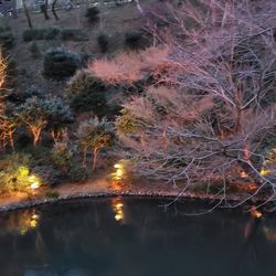 ホテル椿山荘東京の写真25枚目