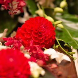 KOTOWA 鎌倉 鶴ヶ岡会館の写真4枚目