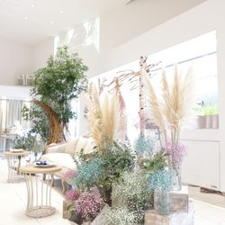 Mia Viaの写真25枚目