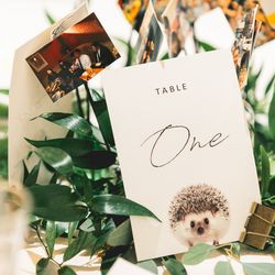 ブランリール大阪の写真25枚目