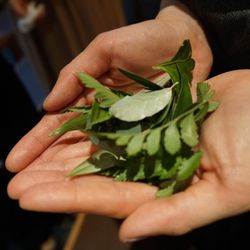 TRUNK HOTELの写真8枚目