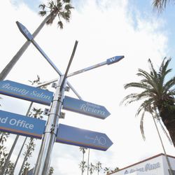 鎌倉鶴岡八幡宮の写真10枚目