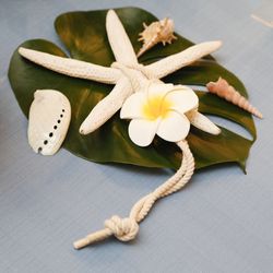 鎌倉鶴岡八幡宮の写真2枚目