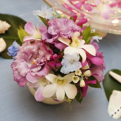 鎌倉鶴岡八幡宮の写真16枚目